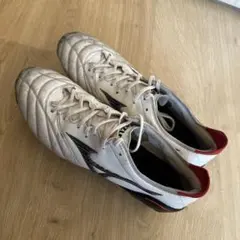 モレリアネオ29.5cm 箱無し