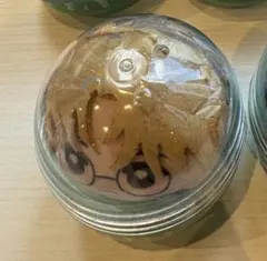 INI かぷっこふれんず 田島将吾 ガチャ ガチャガチャ ぬい ぬいぐるみ