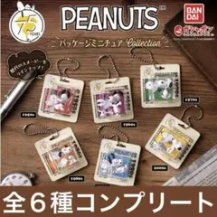 PEANUTS パッケージミニチュアコレクション　全６種《メルカリ便発送》