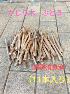 Item thumbnail for item 887d4ae0-cb24-4ad8-91e8-94434758d71a