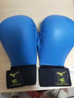 Item thumbnail for item a8b06919-65f5-4e31-80d4-d5f71dc1c823