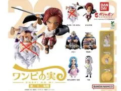 2025年最新】ワンピの実まとめ売りの人気アイテム - メルカリ