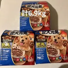 愛犬元気　肥満が気になる愛犬用のサムネイル