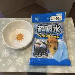 Item thumbnail for item 1847186f-7398-4247-ad99-5522dded9a15