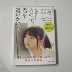 あの頃、君を追いかけた