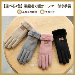 【4色セット】最終値下げ！裏起毛ファー付き手袋 スマホ対応 暖か レディース