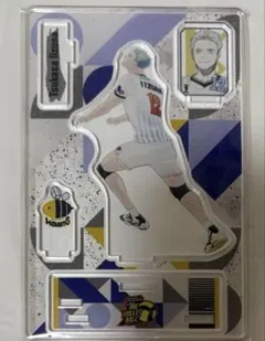 2025年最新】飯綱掌 vリーグの人気アイテム - メルカリ