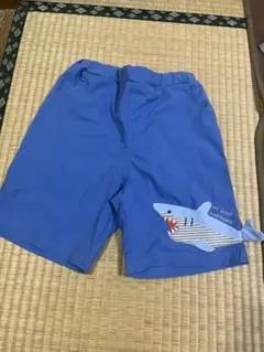 Item thumbnail for item 04c78f21-516c-4bcb-b6c4-71a8bc177d6d