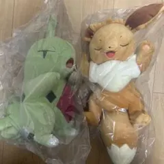 もっちりぬいぐるみ Pokmon Sleep おやすみイーブイ&ヨーギラス