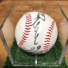 巨人軍 サインボール 川上哲治 水原茂 別所毅彦 与那嶺要 千葉茂 国松彰 V9 巨人軍 サインボール 川上哲治 水原茂 別所毅彦 与那嶺要 千葉茂