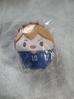 ハイキュー!! くじメイト ぬいくじ ふわコロりん D賞 日向翔陽