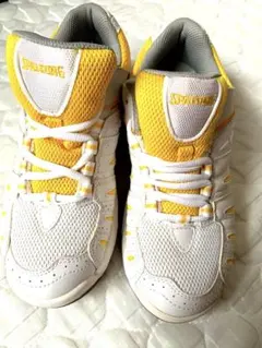 Item thumbnail for item 5d62e5f6-bf3e-4fbc-b45d-2d39f9bb5604