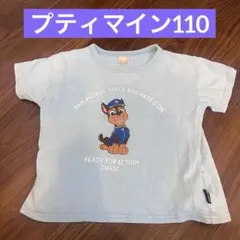 パウパトロール Tシャツ　チェイス プティマイン 男の子 女の子 110