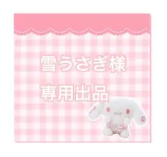 雪うさぎ様専用出品