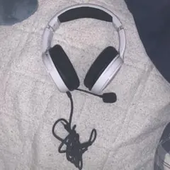 SENNHEISER HD 250BT みんなのきもち - メルカリ