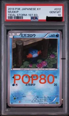 ポケモンカードPSA10 ミズゴロウ 2016年 026/131 - メルカリ