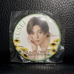 fantastics sunflower ガチャ クリアチャーム 八木勇征 - メルカリ