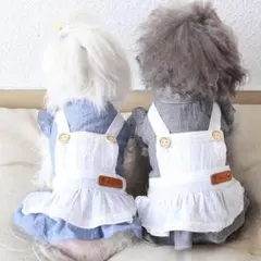 Item thumbnail for item a2108985-0f5f-464c-ab07-13a37079c4d1