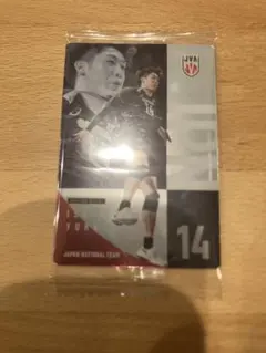 石川祐希 バレーボール 日本代表 トレーディングカード