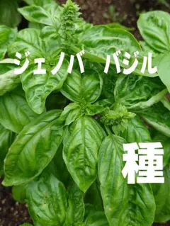 ちゃまこ様 リクエスト 2点 まとめ商品