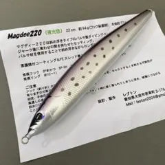 レプトン　マグロ用　マグディー220（夜光色） 2025年最新】レプトン ルアーの人気アイテム - メルカリ