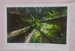 Item thumbnail for item 346d4d88-5656-4c5f-ab48-d38efaf9ada5