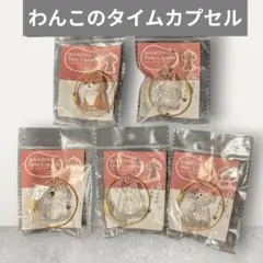 愛犬メモリアル♡ わんこのタイムカプセル 全5種セット WANKONO ガチャ