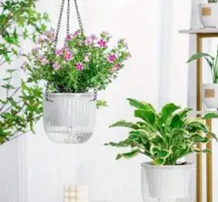 Item thumbnail for item feee234d-d44d-45e6-b058-01440570958e