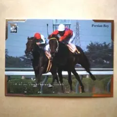 99下 競馬カード、パーシャンボーイ【3点300円】