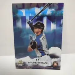 日本ハム ホームランソーセージカード 2016 大谷 大野 サインカード