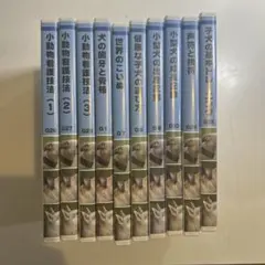 2025年最新】ヒューマンアカデミーの人気アイテム - メルカリ