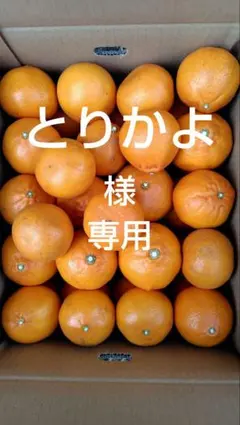 せとか10㎏(家庭用)とりかよ様専用