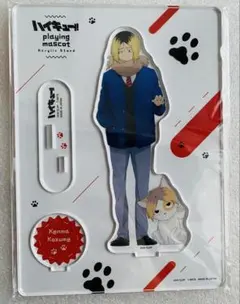 ハイキュー 孤爪研磨