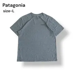 Patagonia 両面プリントロゴワンポイントシンプルTシャツ L グレー