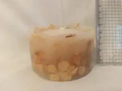 クローバー？ドライフラワー？入りキャンドル