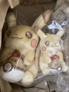 新品未開封 ポケモン 30周年記念 ピカピカ！ピカチュウ ぬいぐるみ＆マスコット