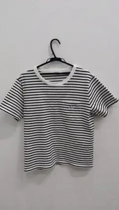 THE SHOP TK Mサイズ ボーダーTシャツ