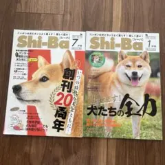 びしゃもんみかん様 リクエスト 4点 まとめ商品