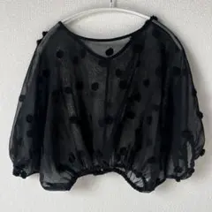 SPRAY PREMIUM シースルートップス　シアーブラウス　ブラック