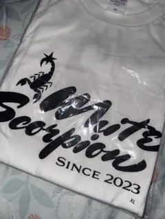 Item thumbnail for item 52e6b805-5573-496e-913c-de194ab3d347