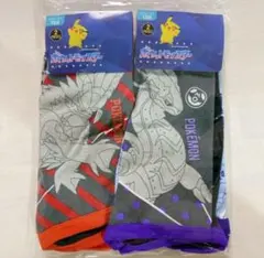 新品タグ付きポケモン ボクサーパンツ 4枚セット 110