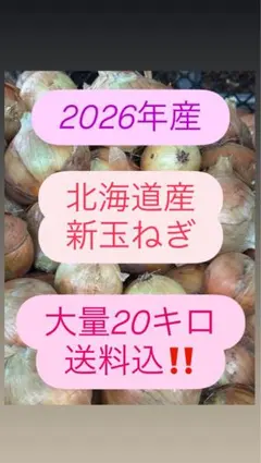 北海道産新玉ねぎ大量20キロ送料込！のサムネイル