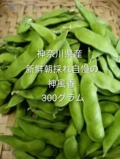 신선!가나가와현산 에다마메 카미후카 300g