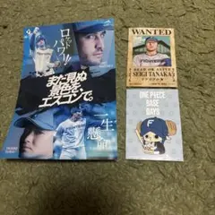 日本ハムファイターズワンピースコラボ手配書　まだ見ぬ景色をエスコンでステッカー