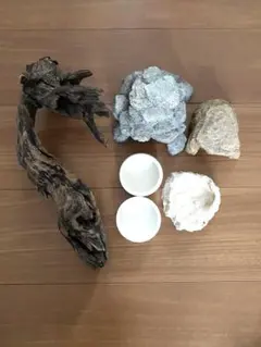 Item thumbnail for item 431d823b-3216-432b-9306-fe259d81c333