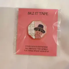 チャンビン アイドル