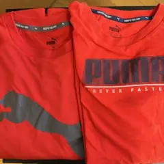 PUMA キッズ Tシャツ 160cm 2枚セットのサムネイル