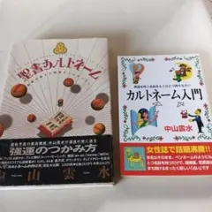 聖書カルトネーム カルトネーム入門 中山雲水 2冊セット
