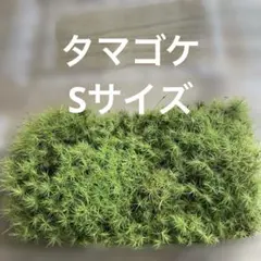 コアラ様 リクエスト 3点 まとめ商品