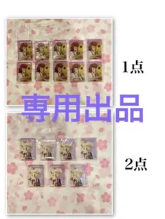 テルミン様　専用